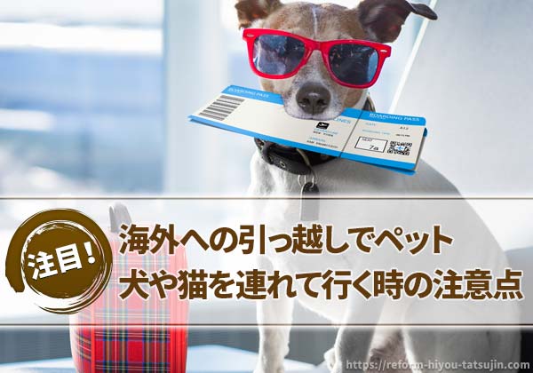 海外への引っ越しでペットを連れて行く時の注意点